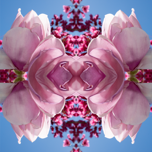 Magnolia Heart 1 - Canvas