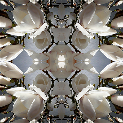 Magnolia Light 2 - Canvas