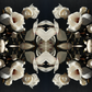 Magnolia Light 1 - Small Mandala Print