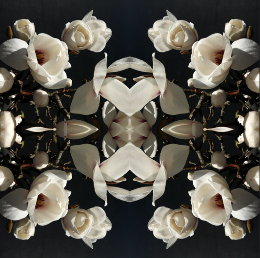 Magnolia Light 1 - Small Mandala Print