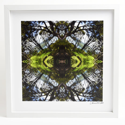 Sounds Native 1 - Small Mandala Print