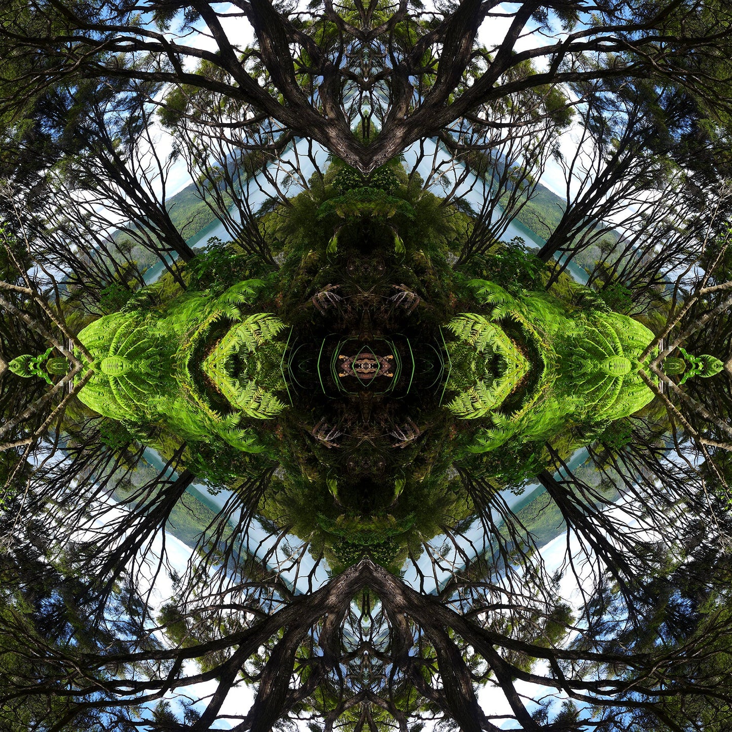 Sounds Native 1 - Canvas