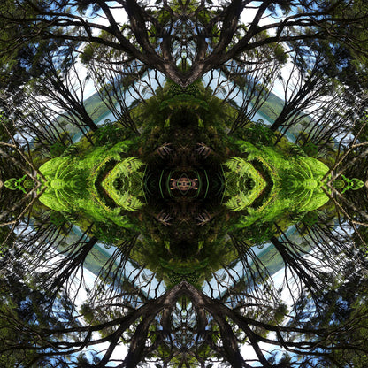 Sounds Native 1 - Canvas