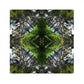 Sounds Native 2 Unframed