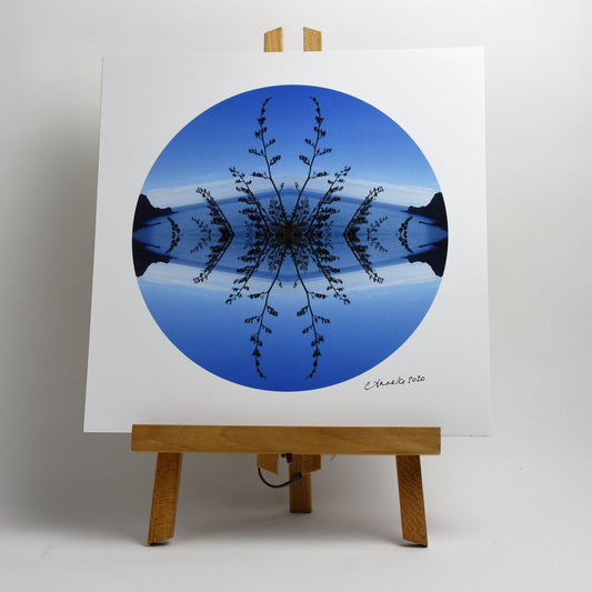 Taylors Harakeke - Small Mandala Print