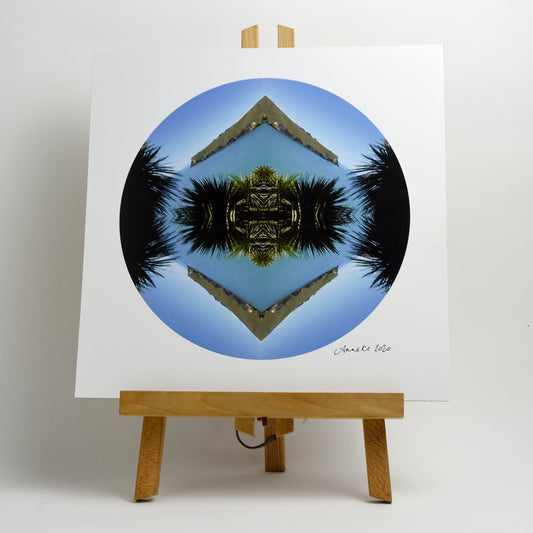 Taylors Ti Kouka - Small Mandala Print