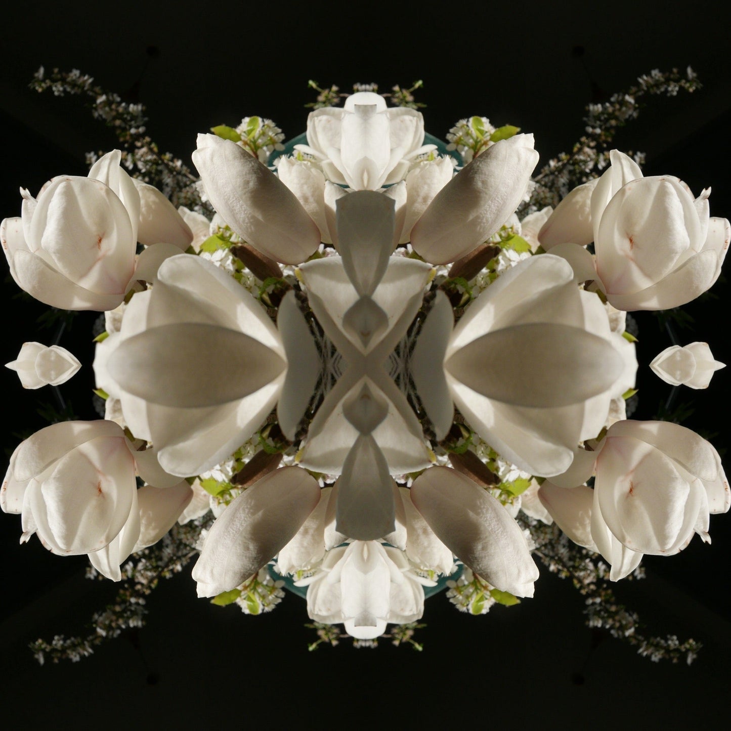 Magnolia Crown 2 - Canvas