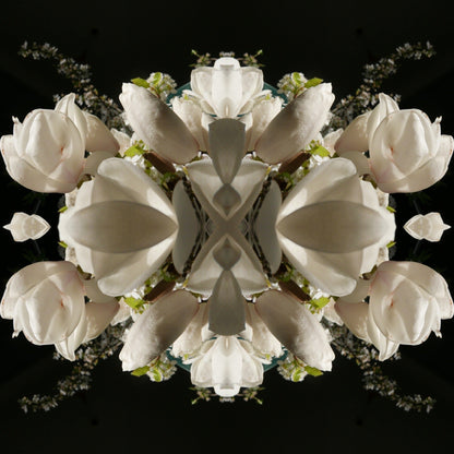 Magnolia Crown 2 - Canvas