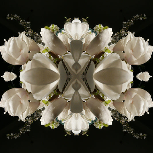 Magnolia Crown 2 - Canvas