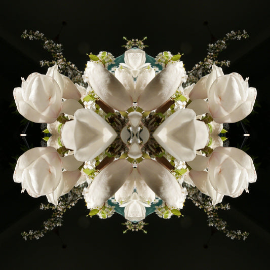 White Magnolia Crown 3 - On Canvas