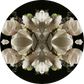 Magnolia Crown 2 - Small Mandala Print