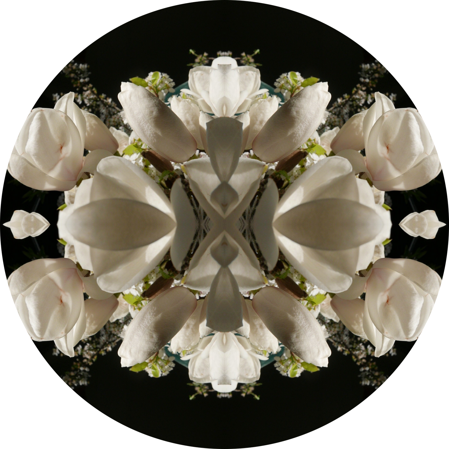 Magnolia Crown 2 - Small Mandala Print