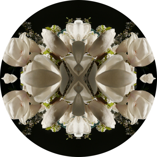 Magnolia Crown 2 - Small Mandala Print