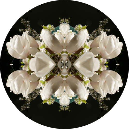 Magnolia Crown 3 - Small Mandala Print