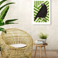 Mountain Parrot - Green
