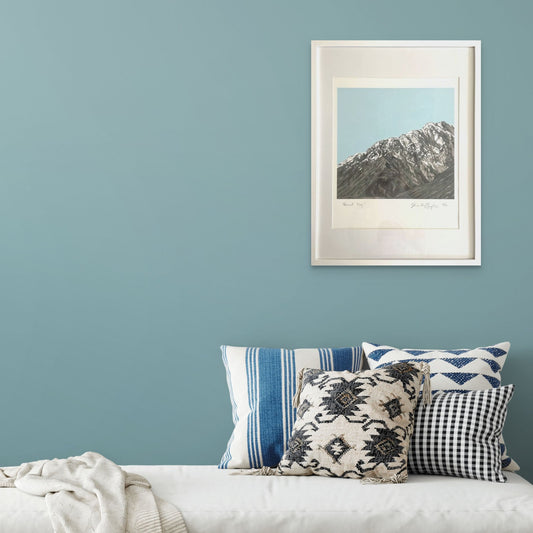 Beaut Day -  Framed Artwork