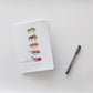 Beevolution Notebook