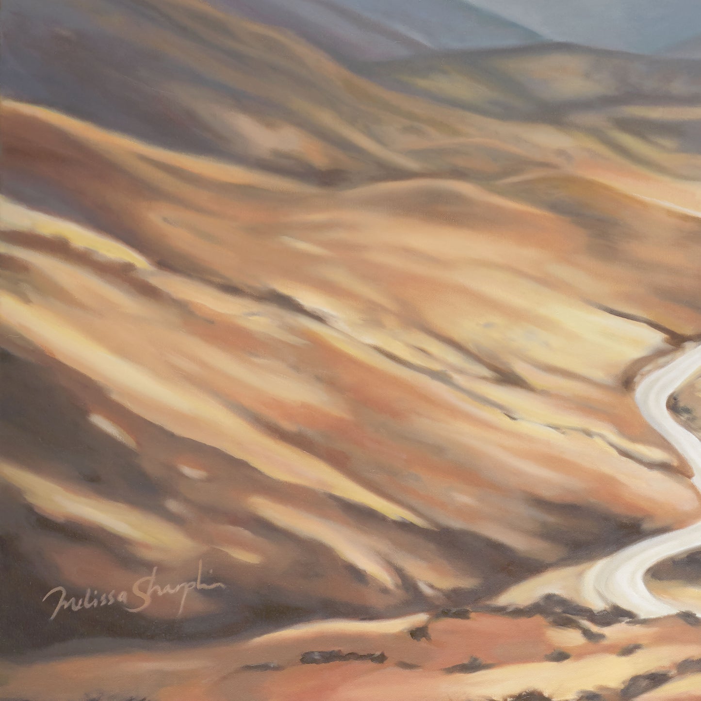 Cardrona Landscape Canvas Print