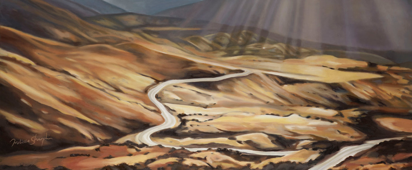 Cardrona Landscape Canvas Print
