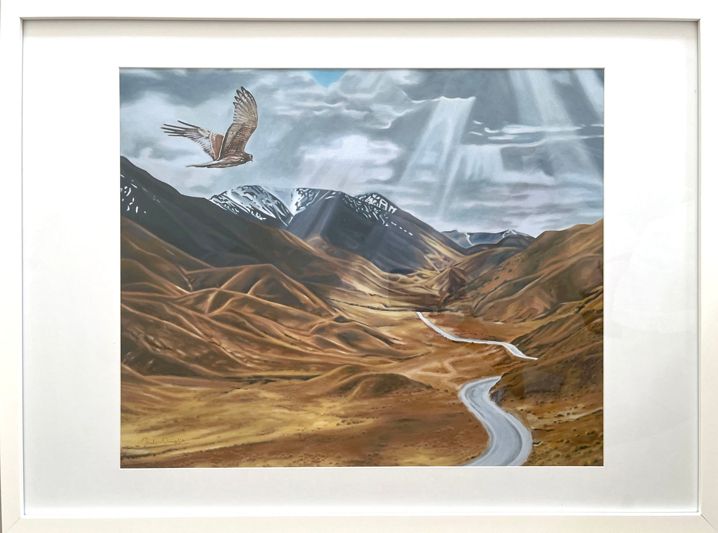 Lindis Pass Framed
