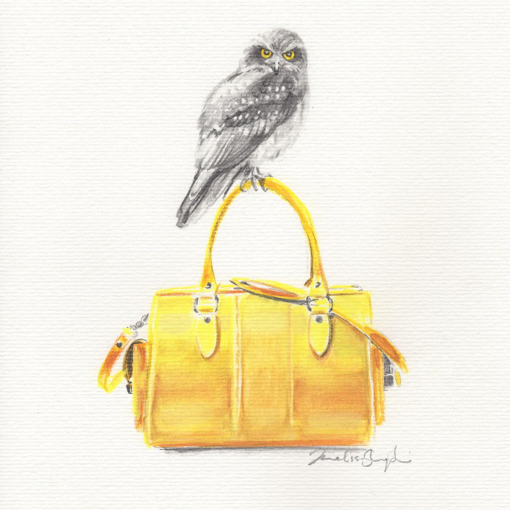 Mr Morepork - Melissa Sharplin