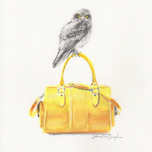 Mr Morepork - Melissa Sharplin