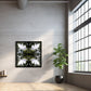 Framed artwork on a wall with a plant next to a large window.