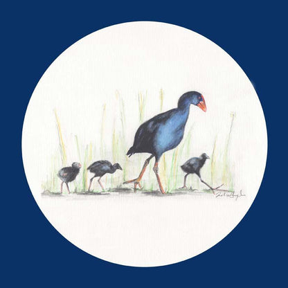 Pukeko - Melissa Sharplin