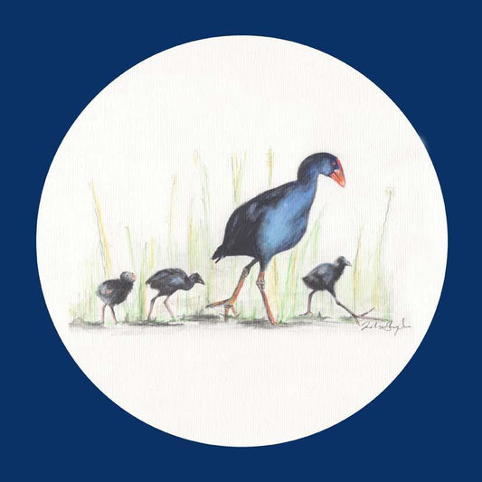 Pukeko - Melissa Sharplin
