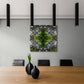 Sounds Native 2 - Canvas