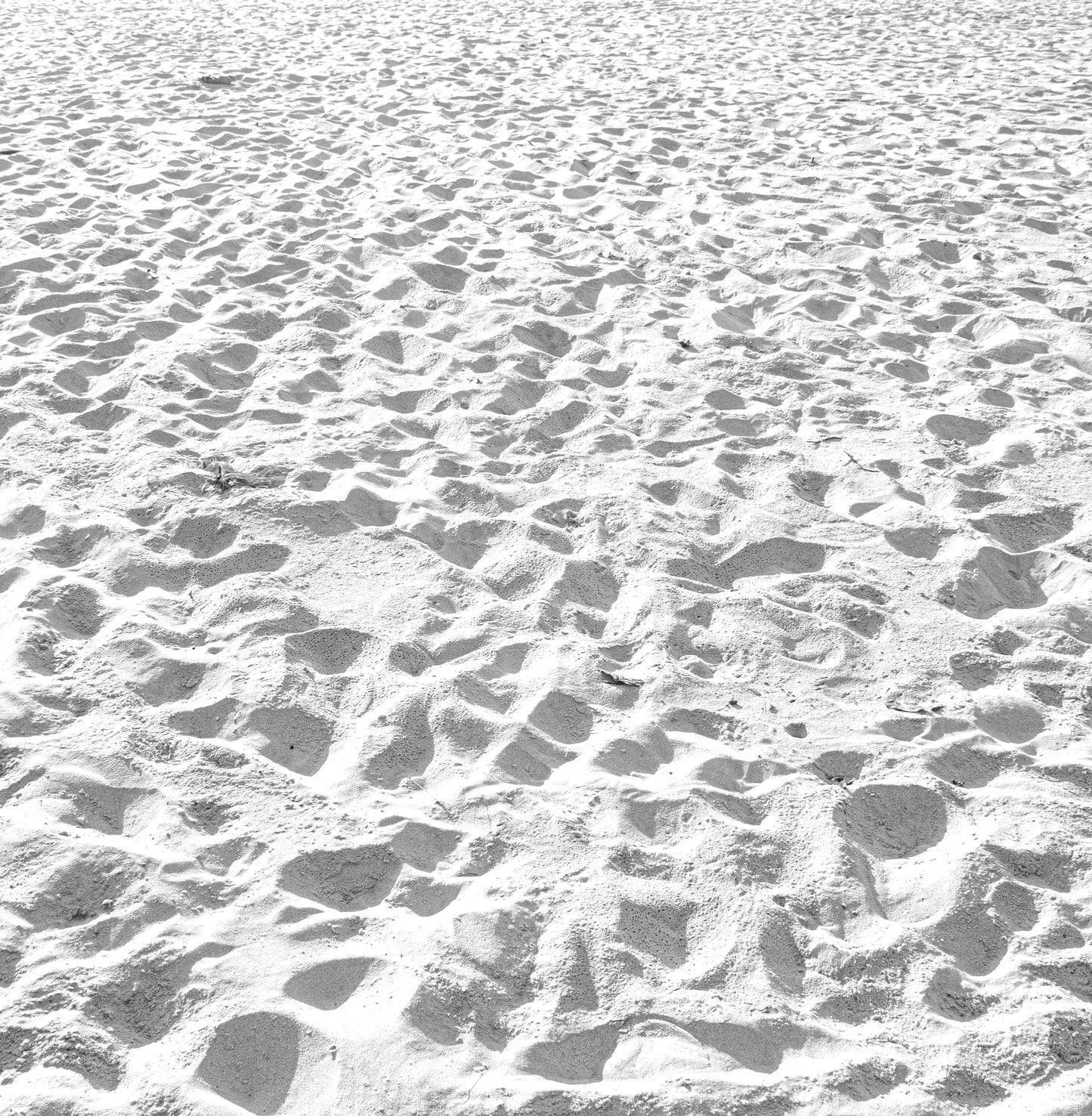 Grey Sands