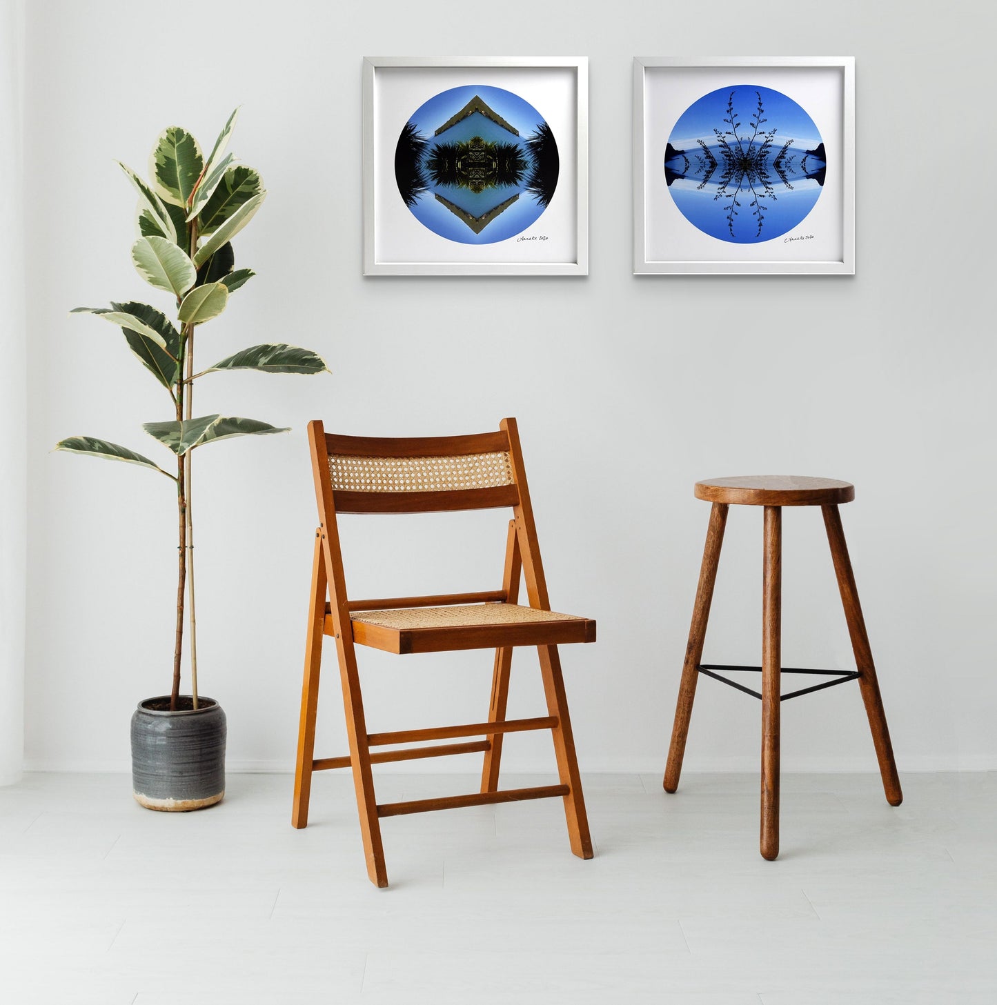 Taylors Harakeke - Small Mandala Print