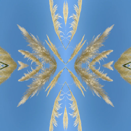 Toi Toi - Small Mandala Print