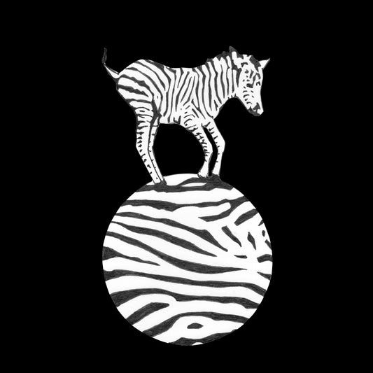 Zebra B&W