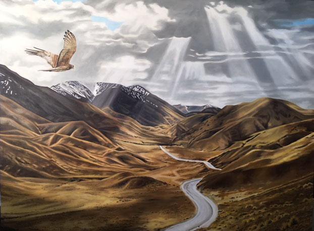 Lindis Pass Landscape - Melissa Sharplin
