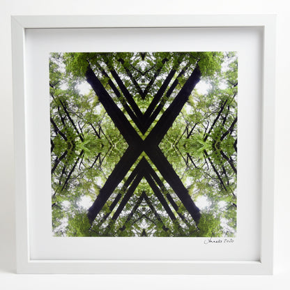 Native Canopy - Small Mandala Print